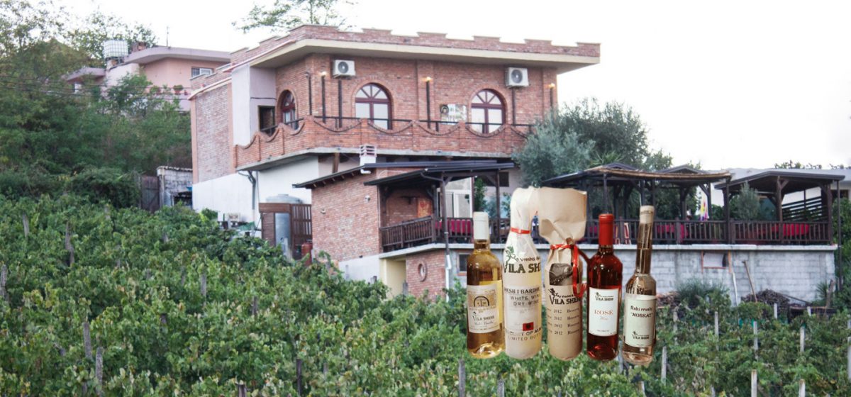 Vila Shehi winery